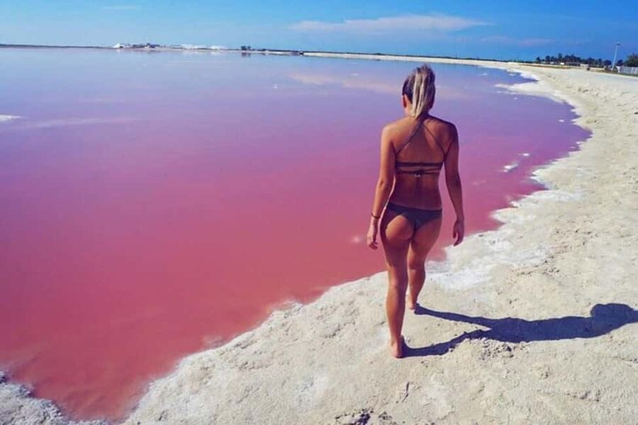 Tulum: Pink Lake, Rio Lagartos, Crocodile Flamingo Adventure - The crocodile element adds a sharper edge