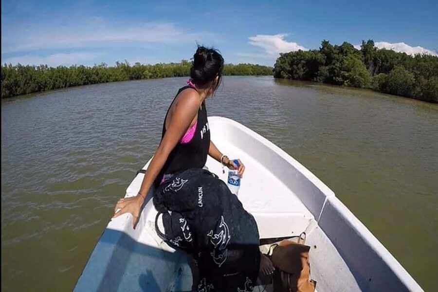 Tulum: Pink Lake, Rio Lagartos, Crocodile Flamingo Adventure - What the price means at $133 per person