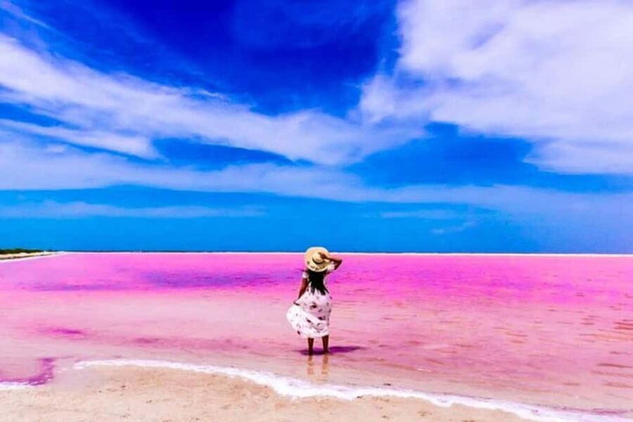 Tulum: Pink Lake, Rio Lagartos, Crocodile Flamingo Adventure - Practical planning before you reserve