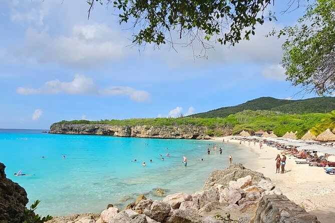 Turtle Swim at TurtleBay visit Flamingos & KnipBeach Safari Truck - Is $82 a Fair Price?