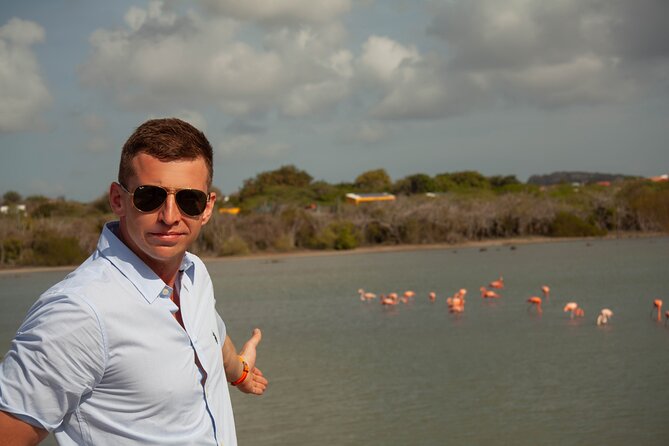 Turtles, Beach and Flamingo in Curacao Private photoshoot Tour - What You Receive for $210 Per Person