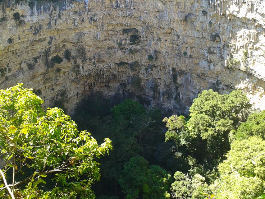 Tuxtla Gutiérrez: Sinkhole of Parrots Full-Day Rappel - Key Points Before You Book