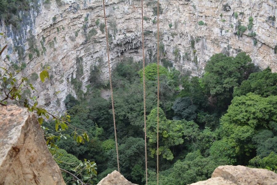 Tuxtla Gutiérrez: Sinkhole of Parrots Full-Day Rappel - Should You Book the Sima de las Cotorras Rappel?