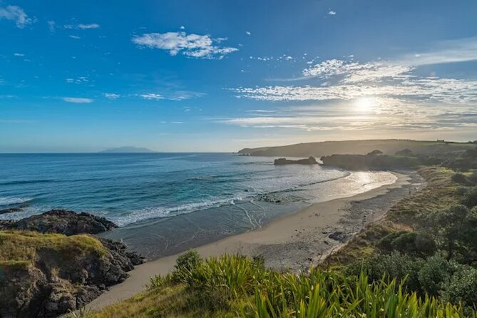 Twilight Wild Kiwi Bird Encounter Private Tour - What a kiwi sighting can mean