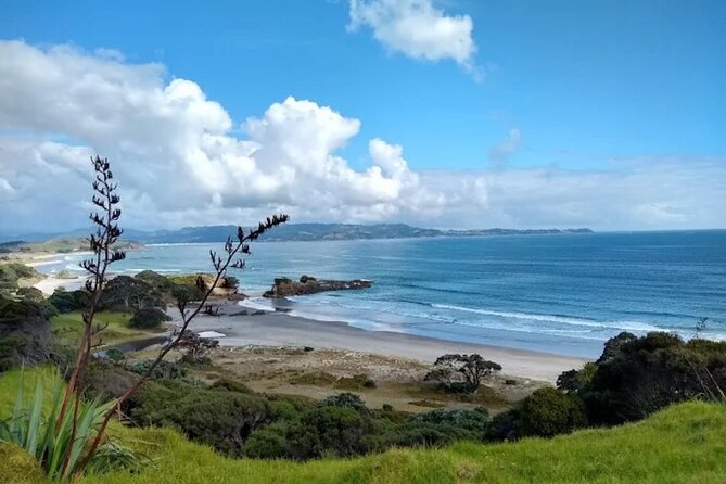 Twilight Wild Kiwi Bird Encounter Private Tour - The value of a $589.54 private tour