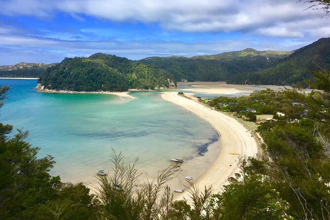 Twilight Wild Kiwi Bird Encounter Private Tour - Who will enjoy this evening most