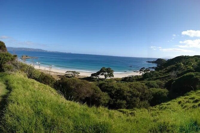 Twilight Wild Kiwi Bird Encounter Private Tour - Practical details that affect the night