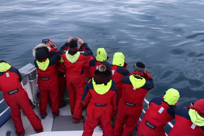 Two-In-One: Whale & Puffin Watching Tours from Reykjavik - Choosing the right season and expectations