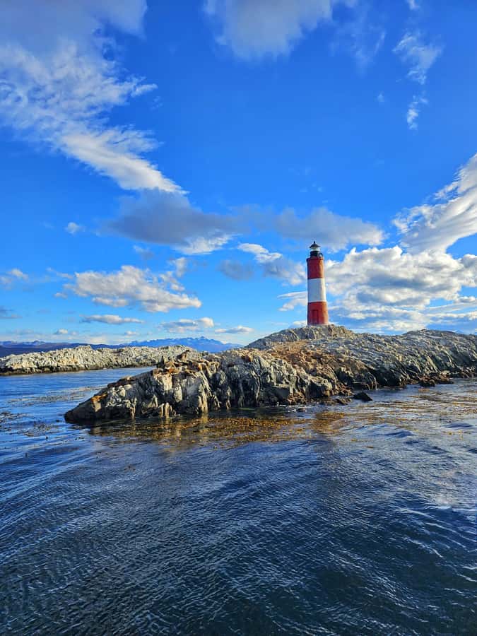 Ushuaia: Beagle Channel and Penguin Island - What makes this Beagle Channel cruise worth your time