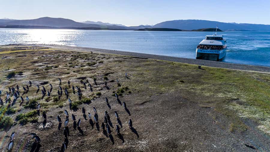 Ushuaia: Beagle Channel and Penguin Island - Sea Lions Island and the channel’s working waters