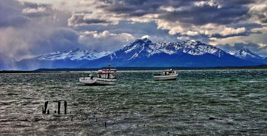 Ushuaia: Beagle Channel Boat Tour and Penguin Experience - Why this Ushuaia day trip is unusual