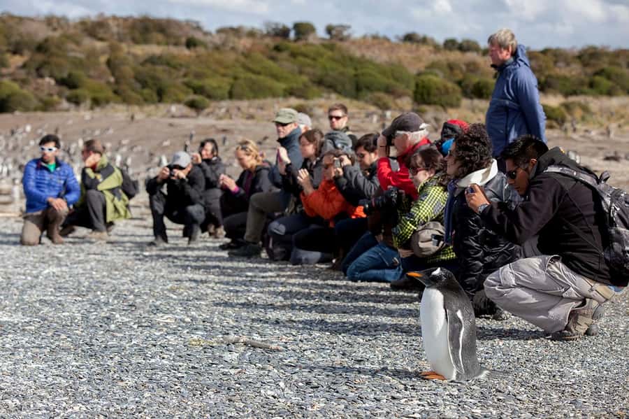 Ushuaia: Beagle Channel Boat Tour and Penguin Experience - Les Éclaireurs Lighthouse, Ushuaia’s famous marker
