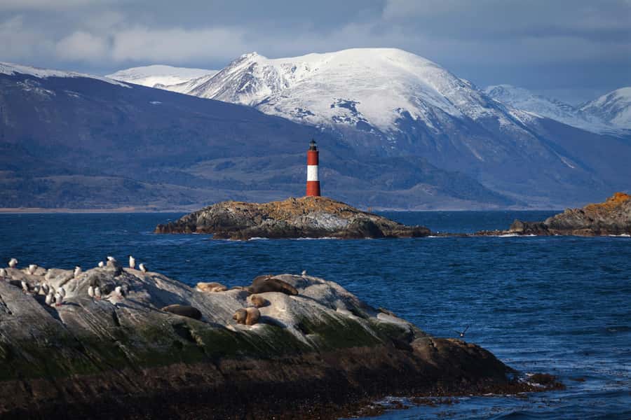 Ushuaia: Beagle Channel Boat Tour and Penguin Experience - Starting at Ushuaia’s tourist port
