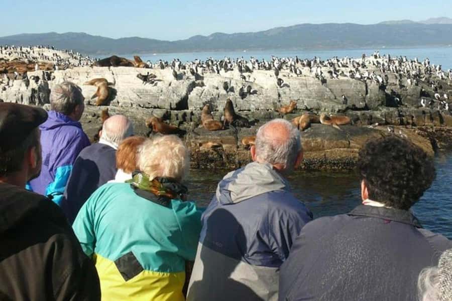 Ushuaia: Beagle Channel Penguin Colony Tour - Setting out from Ushuaia’s tourist pier
