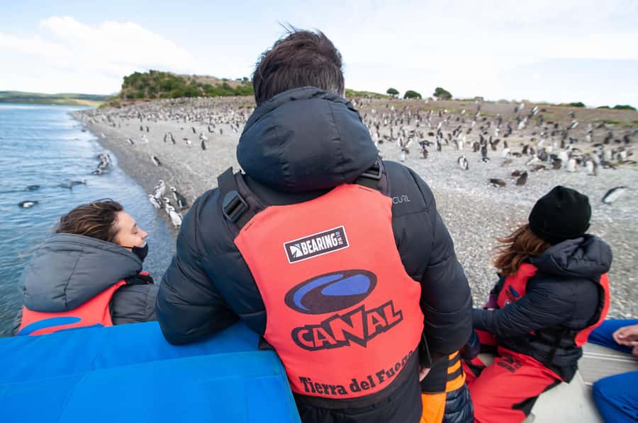 Ushuaia: Gable Island and Penguin Colony with Lunch - Key points to know before you book