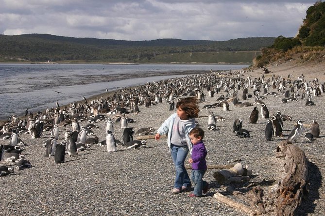 Ushuaia: Martillo Island and Walk Among Penguins Full-Day Tour - Clothing and comfort matter more than usual