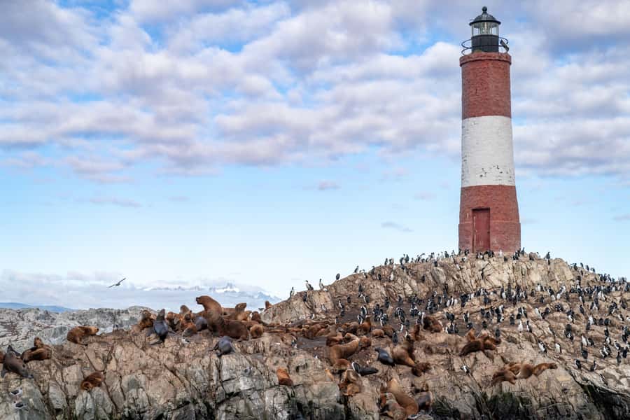 USHUAIA | Navigation: Sea Lions, Birds and Lighthouse - The return trip and mountain views