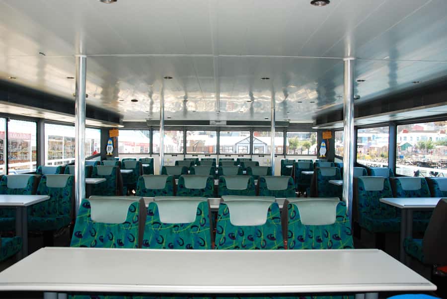 Ushuaia: Penguin Watching Tour by Catamaran - Is the $180 price fair?