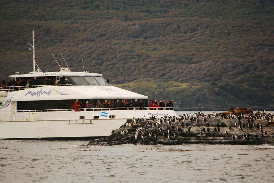 Ushuaia: Penguin Watching Tour by Catamaran - Bird Island: a compact lesson in Fuegian wildlife
