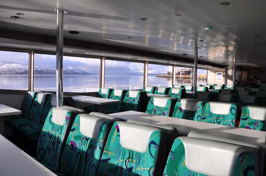 Ushuaia: Penguin Watching Tour by Catamaran - Sea Lion Island and the Bridges Archipelago
