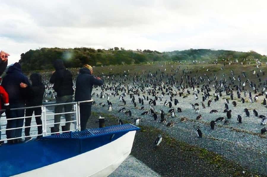 Ushuaia: Sailing Beagle Channel to the Penguin Colony - Leaving Ushuaia from the Tourist Pier