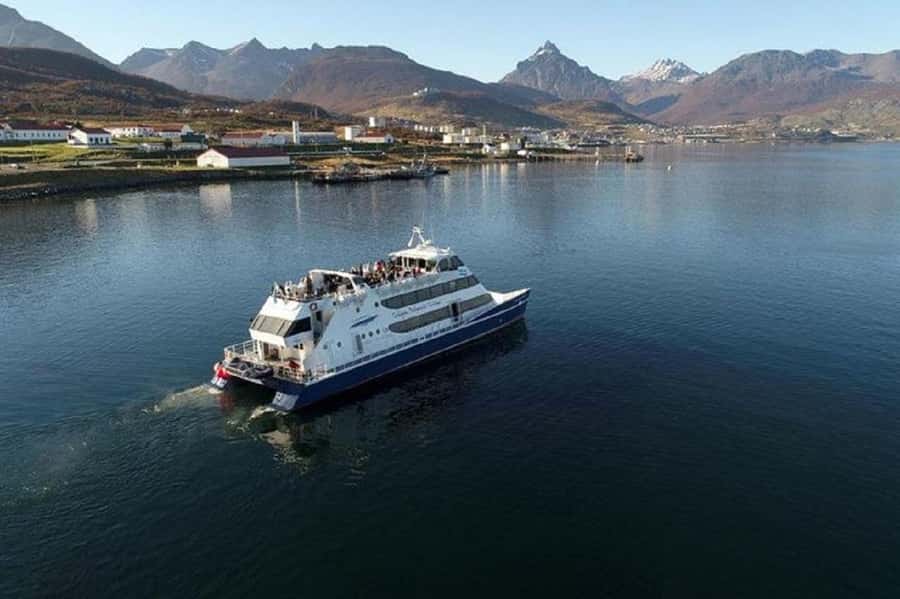 Ushuaia: Sailing Beagle Channel to the Penguin Colony - Martillo Island and the penguin colony