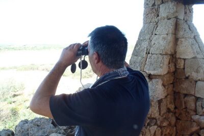 Vendicari private visit 3 hours The Bird Hotel.