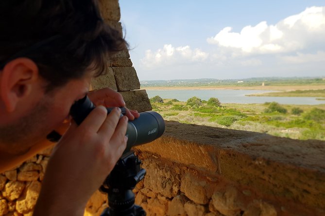 Vendicari - Sicily's best coast nature reserve ( Birdwatching & Archeology ) - Leaving Syracuse for Vendicari