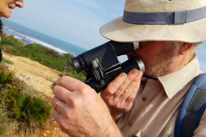 Vendicari - Sicily's best coast nature reserve ( Birdwatching & Archeology ) - Roman mosaics by the coast