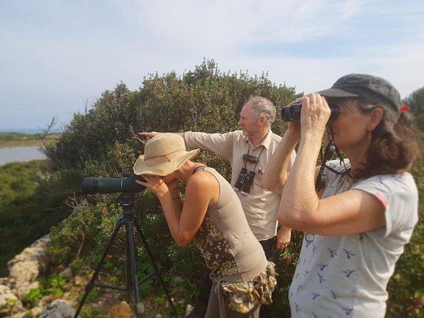 Vendicari - Sicily's best coast nature reserve ( Birdwatching & Archeology ) - Time for a swim, if the day allows