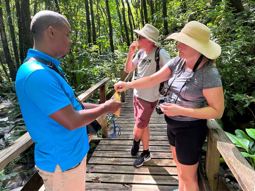 Vermont Nature Trail and Bird Watching Tour - Moving from the capital to Buccament Valley