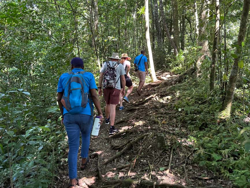 Vermont Nature Trail and Bird Watching Tour - What makes the birding worthwhile