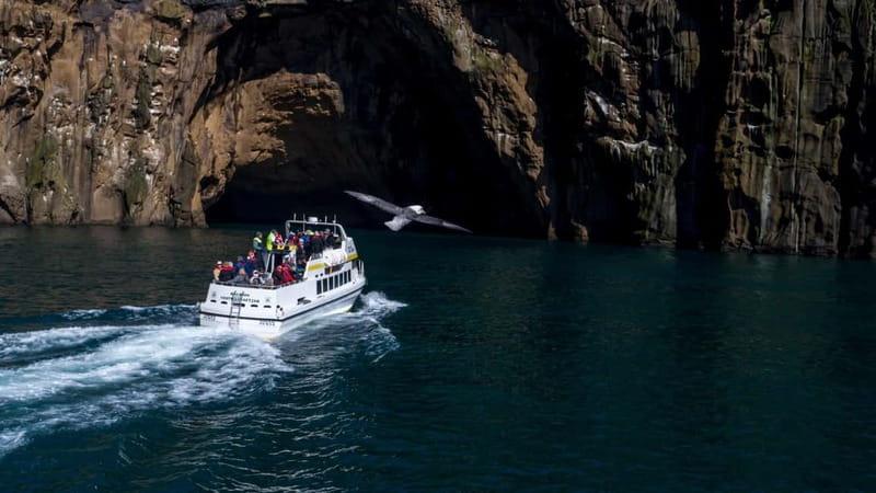 Vestmannaeyjar: Puffin, Island, and Volcano Boat Tour - Key things to know before you go