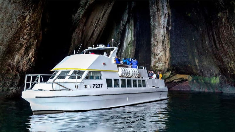 Vestmannaeyjar: Puffin, Island, and Volcano Boat Tour - Booking details that affect your plans
