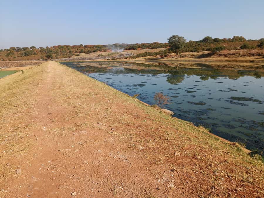 Victoria Falls: Private Birdwatching Safari near the town - One hour at the sewage ponds