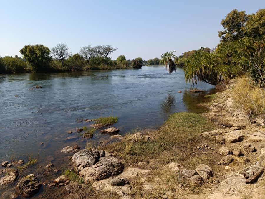 Victoria Falls: Private Birdwatching Safari near the town - The Zambezi gorge and Lookout Café