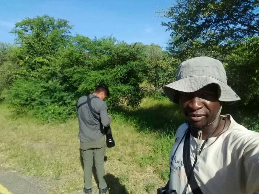 Victoria Falls: Private Birdwatching Safari near the town - Optional vultures at Victoria Falls Safari Club