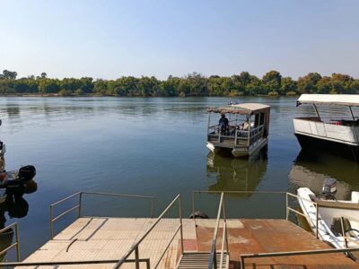 Private Zambezi River Birdwatching Safari