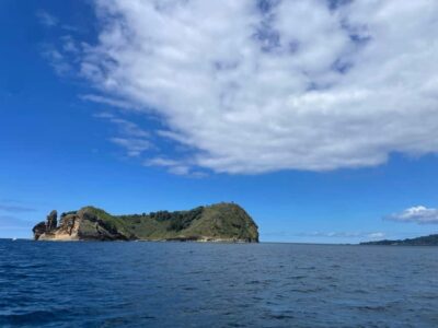 Vila Franca do Campo: Marine Life & Bird Watching & Islet Tour