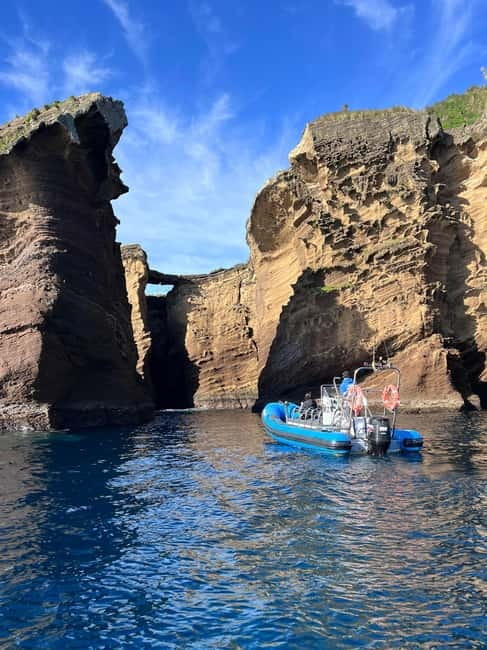 Vila Franca do Campo: Marine Life & Bird Watching & Islet Tour - Is the $46 price good value?