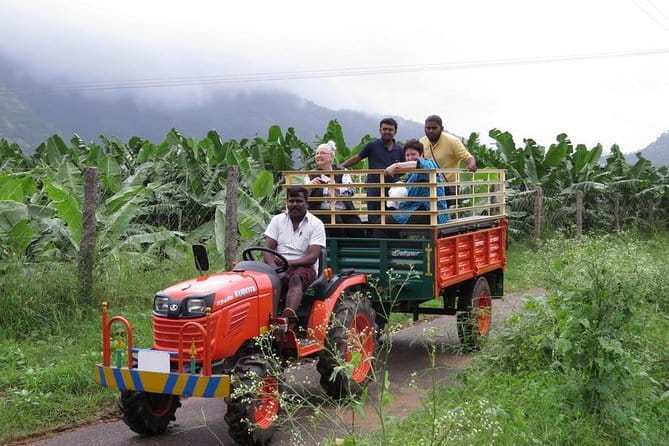 Village Bike Tour & Birdwatching - Chinese fishing nets and the coastal road