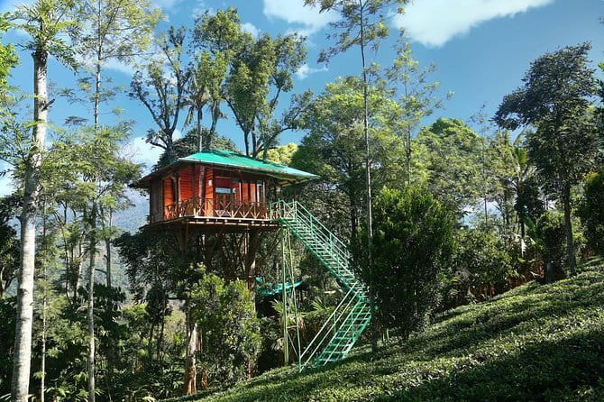 Village Walking Tour and Bird Watching - What $22.67 per person buys you