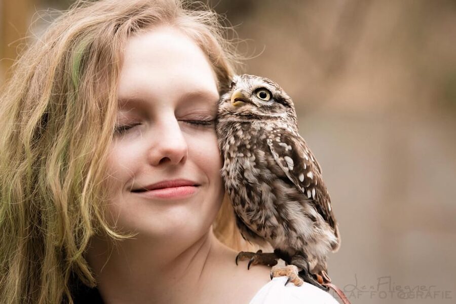 VIP falconry taster session - Key points to know before booking