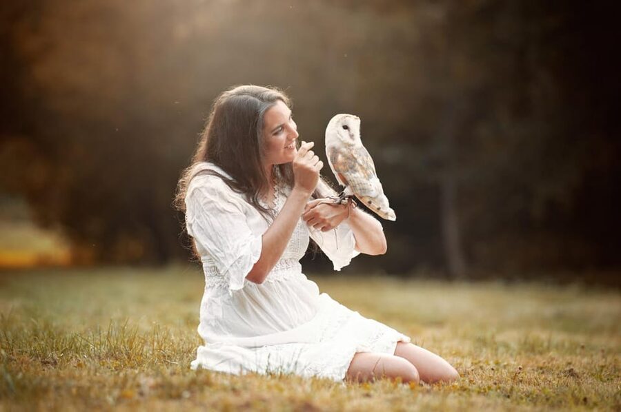 VIP falconry taster session - Meeting the falconer, Ari