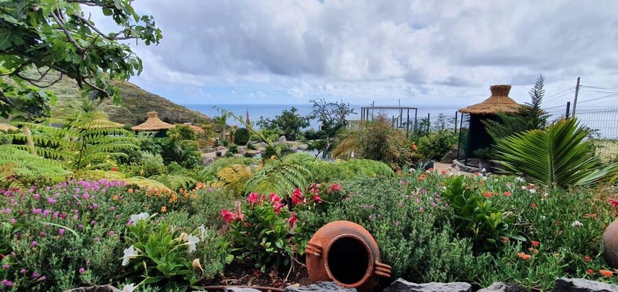 Visit to Madeira Bird Island - Why Madeira Bird Island works as a short family outing