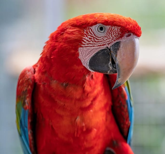 Visit to Madeira Bird Island - The playground and the final special area