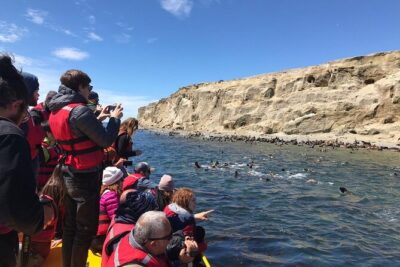 Walk alongside Penguins on Magdalene Island and navigate Marta Island
