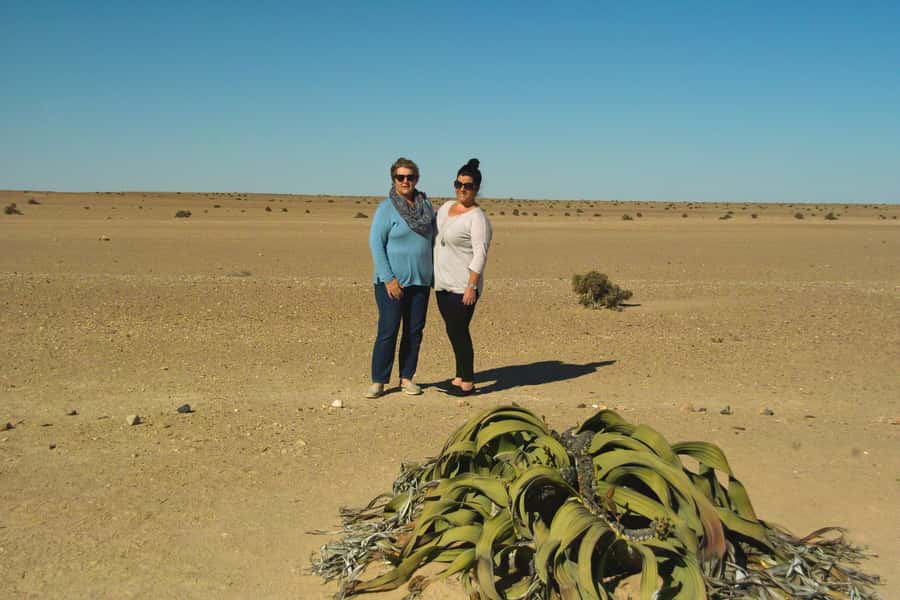 Walvis Bay Shore Excursion: Flamingos, Dune 7, Swakopmund - The return along Namibia’s coast