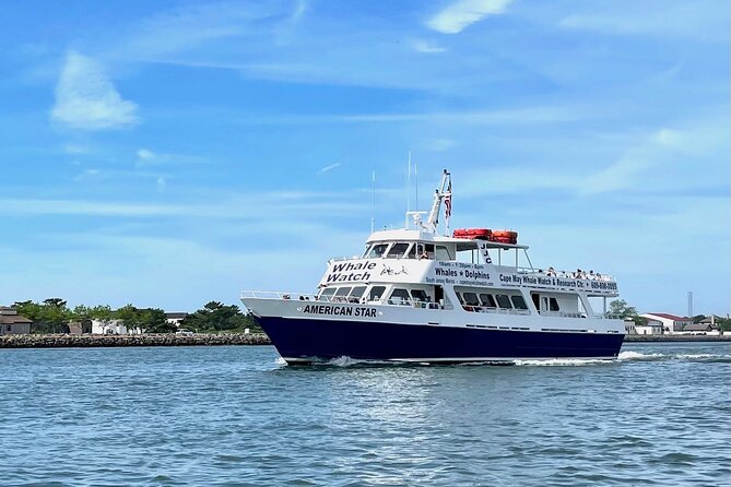 Whale Dolphin and Bird Watching Ecotour Cruise - Along the Cape May shoreline with dolphins