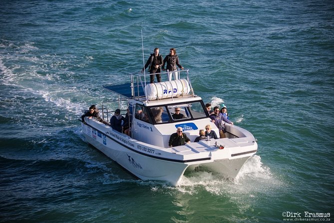Whale, Dolphin & Penguin Island Cruise - Is the $185.19 price good value?